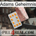 Adams Secret new13